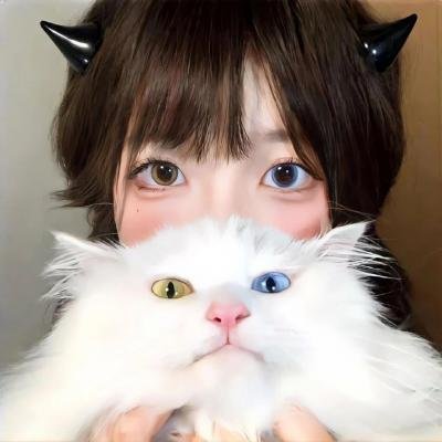 赌豪